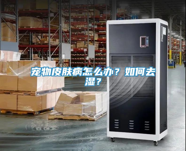 寵物皮膚病怎么辦？如何去濕？