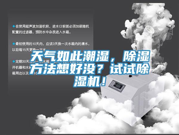 天氣如此潮濕，除濕方法想好沒？試試除濕機！