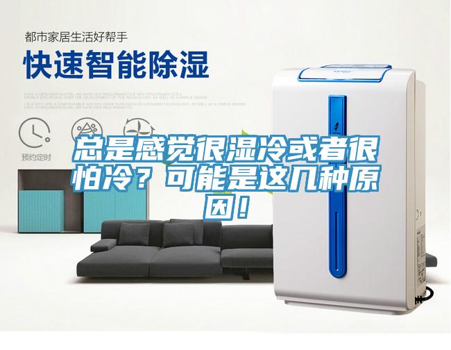 總是感覺(jué)很濕冷或者很怕冷？可能是這幾種原因！