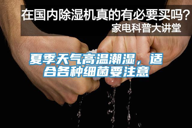 夏季天氣高溫潮濕，適合各種細菌要注意