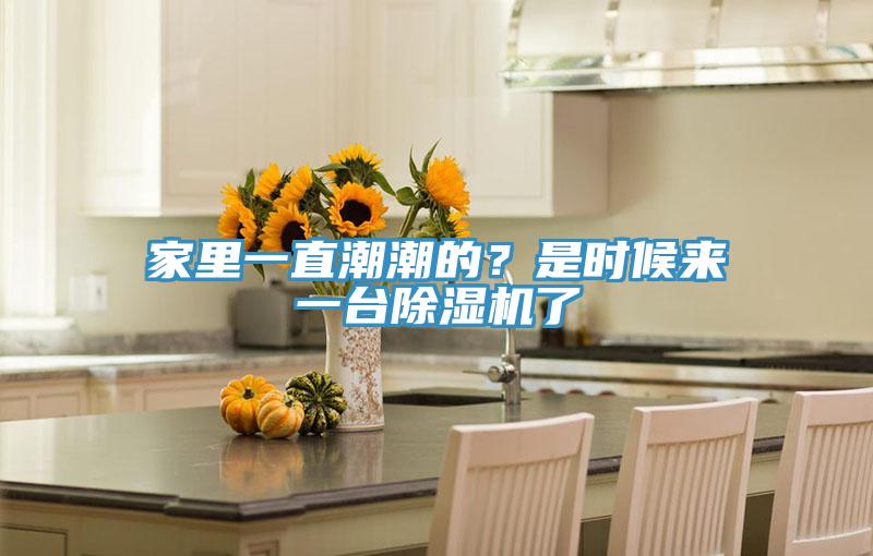 家里一直潮潮的？是時候來一臺除濕機了