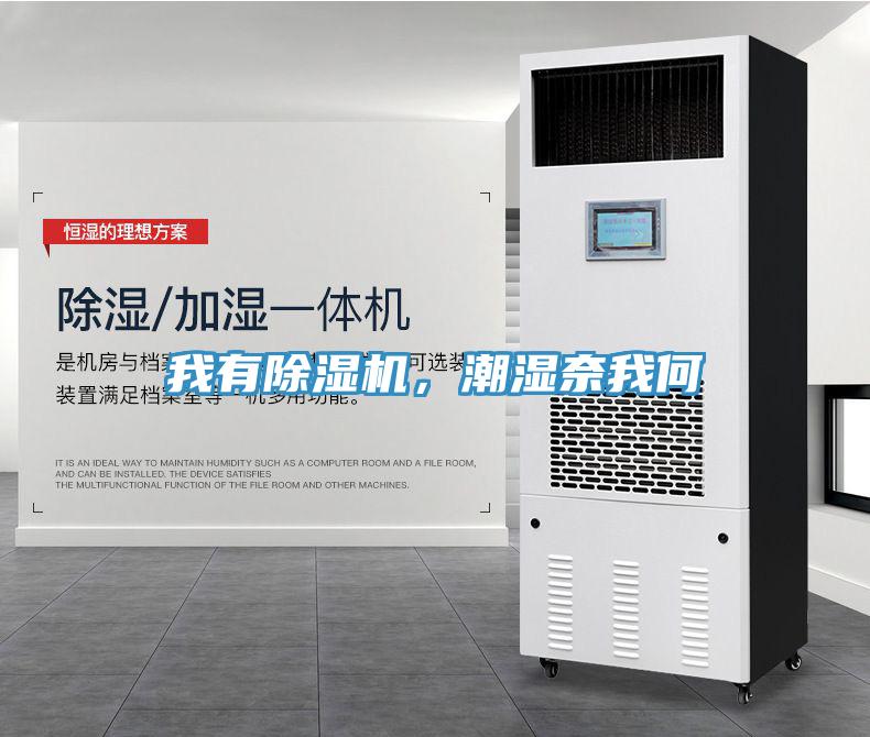 我有除濕機(jī)，潮濕奈我何