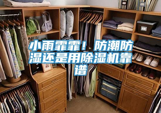 小雨霏霏！防潮防濕還是用除濕機(jī)靠譜