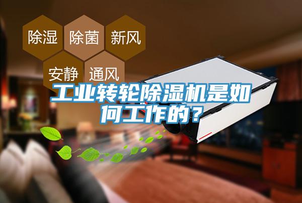 工業(yè)轉(zhuǎn)輪除濕機(jī)是如何工作的？