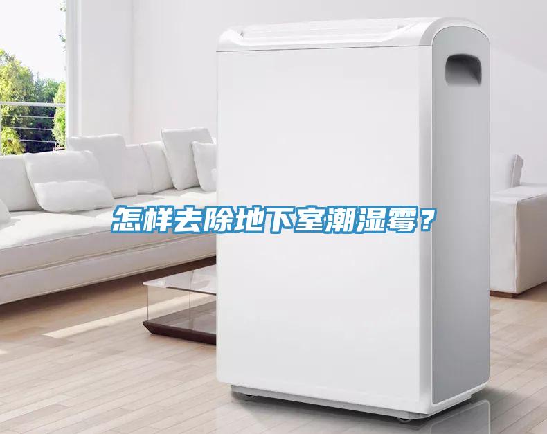 怎樣去除地下室潮濕霉？