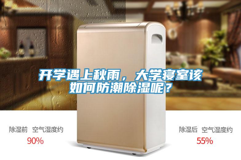 開學(xué)遇上秋雨，大學(xué)寢室該如何防潮除濕呢？