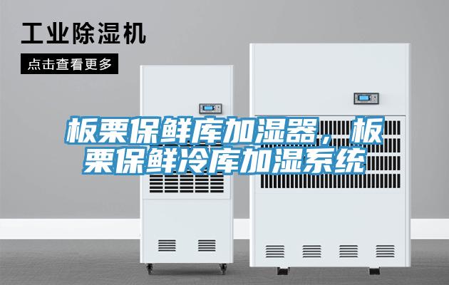 板栗保鮮庫加濕器，板栗保鮮冷庫加濕系統(tǒng)
