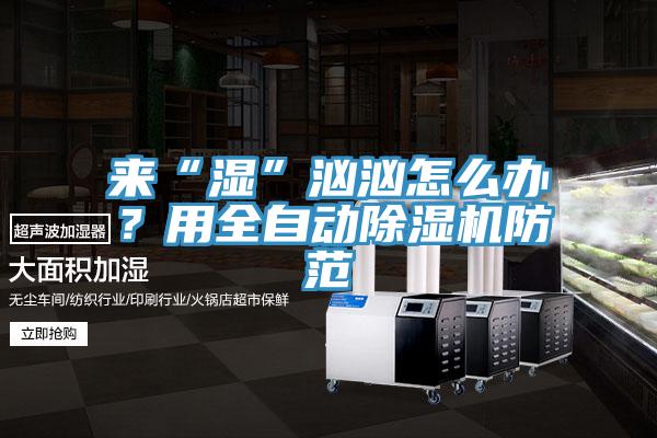 來“濕”洶洶怎么辦？用全自動除濕機防范