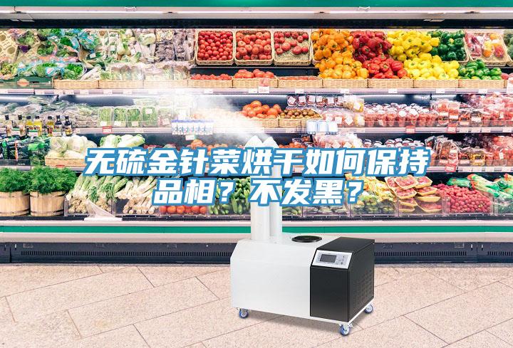 無(wú)硫金針菜烘干如何保持品相？不發(fā)黑？