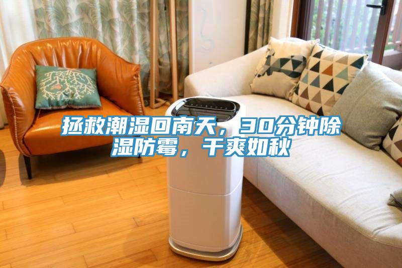 拯救潮濕回南天，30分鐘除濕防霉，干爽如秋