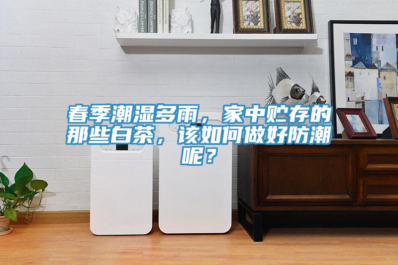 春季潮濕多雨，家中貯存的那些白茶，該如何做好防潮呢？