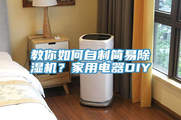 教你如何自制簡易除濕機(jī)？家用電器DIY