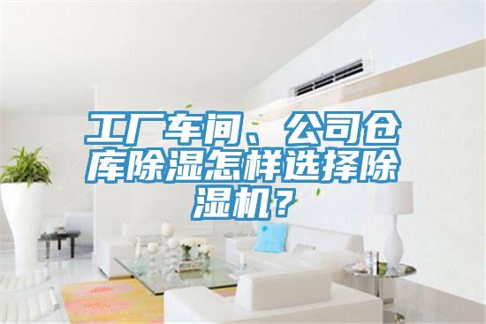 工廠車間、公司倉庫除濕怎樣選擇除濕機？
