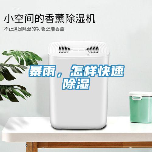 暴雨，怎樣快速除濕