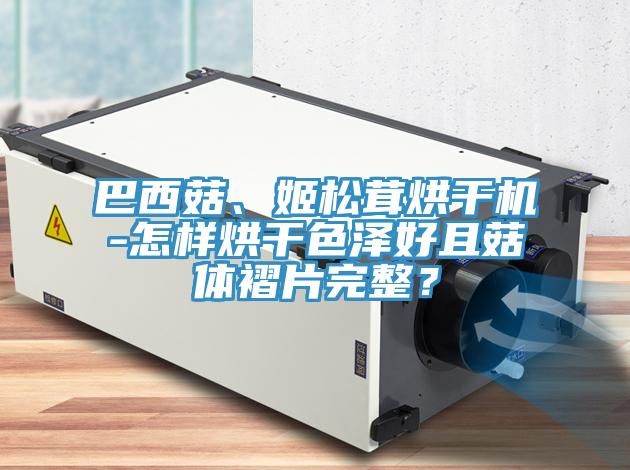 巴西菇、姬松茸烘干機(jī)-怎樣烘干色澤好且菇體褶片完整？