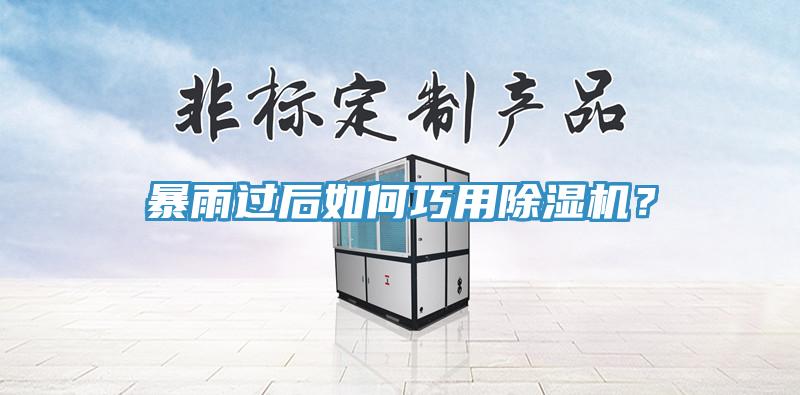 暴雨過后如何巧用除濕機？