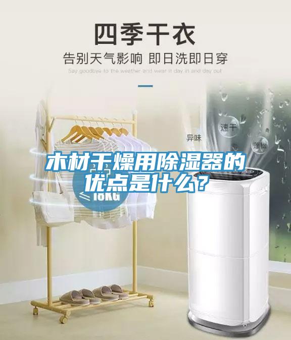 木材干燥用除濕器的優(yōu)點(diǎn)是什么？