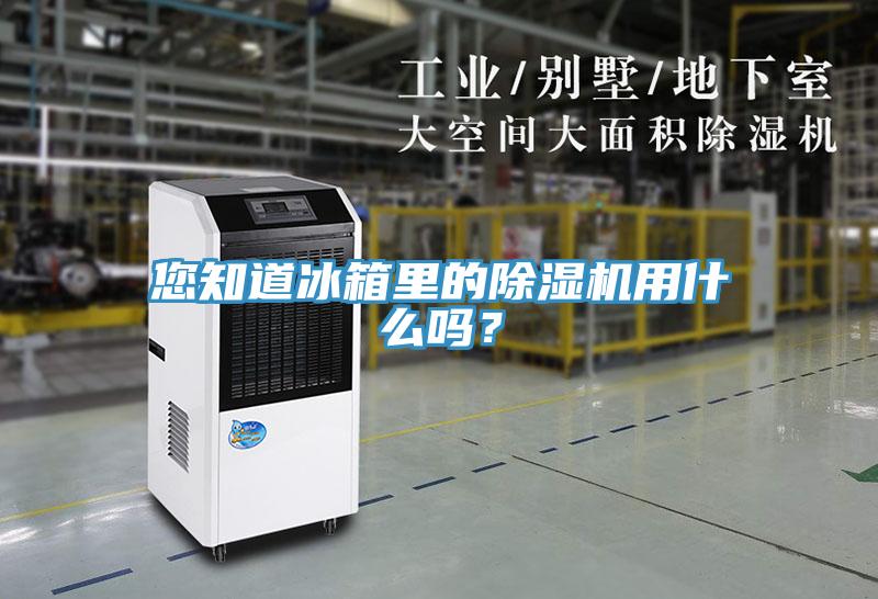您知道冰箱里的除濕機(jī)用什么嗎？