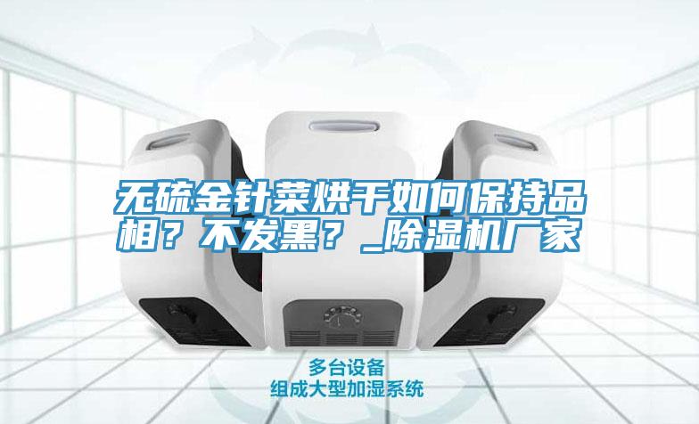 無(wú)硫金針菜烘干如何保持品相？不發(fā)黑？_除濕機(jī)廠家