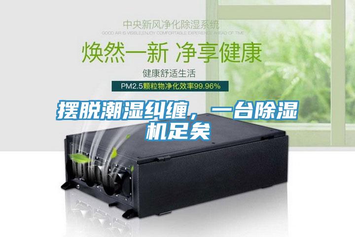 擺脫潮濕糾纏，一臺除濕機(jī)足矣