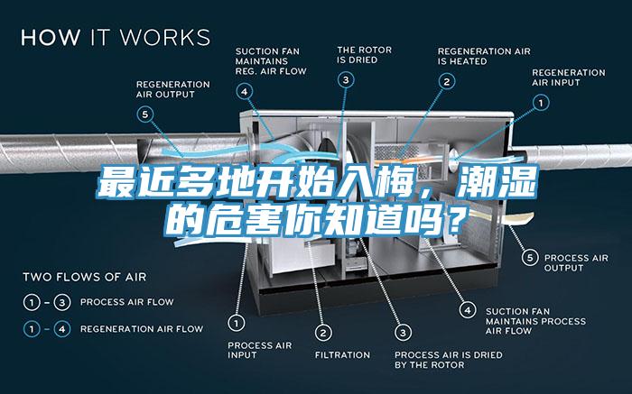 最近多地開始入梅，潮濕的危害你知道嗎？