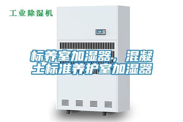 標(biāo)養(yǎng)室加濕器，混凝土標(biāo)準(zhǔn)養(yǎng)護(hù)室加濕器