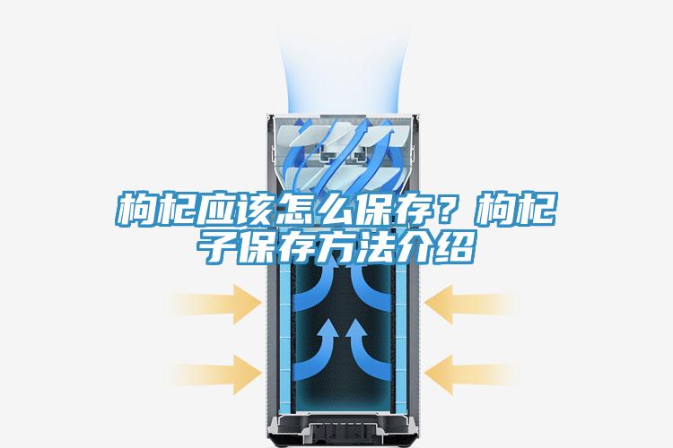 枸杞應(yīng)該怎么保存？枸杞子保存方法介紹