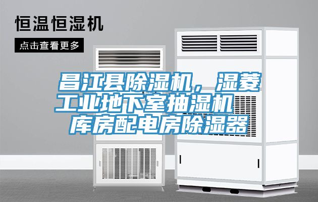 昌江縣除濕機(jī)，濕菱工業(yè)地下室抽濕機(jī)  庫(kù)房配電房除濕器