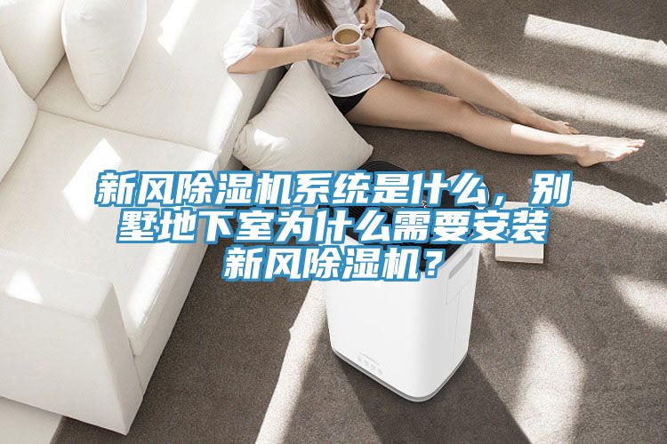 新風(fēng)除濕機(jī)系統(tǒng)是什么，別墅地下室為什么需要安裝新風(fēng)除濕機(jī)？