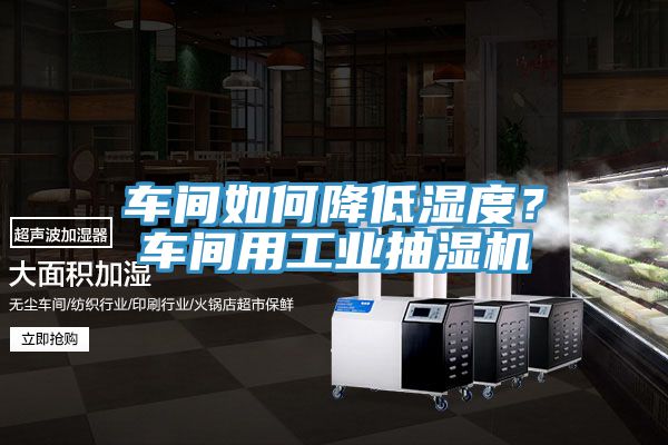 車間如何降低濕度？車間用工業(yè)抽濕機(jī)