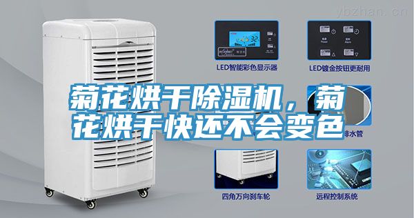 菊花烘干除濕機(jī)，菊花烘干快還不會(huì)變色