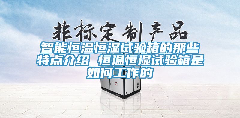 智能恒溫恒濕試驗箱的那些特點(diǎn)介紹 恒溫恒濕試驗箱是如何工作的