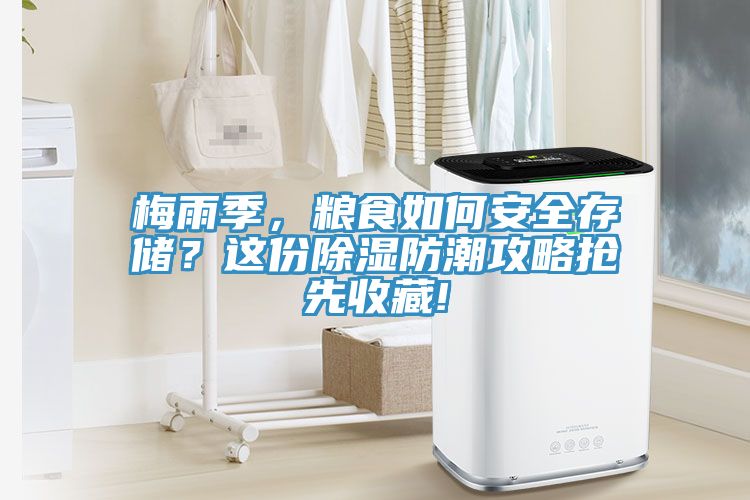 梅雨季，糧食如何安全存儲(chǔ)？這份除濕防潮攻略搶先收藏!