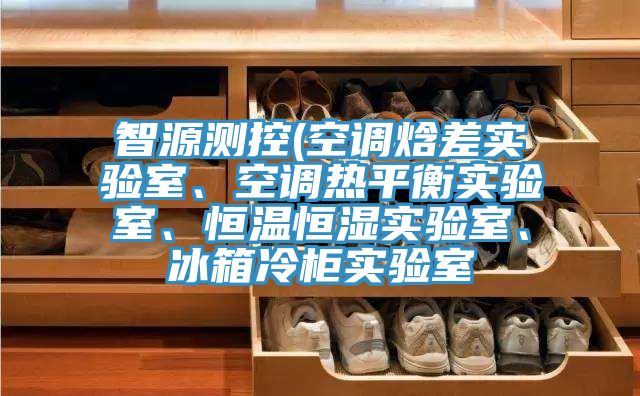 智源測控(空調(diào)焓差實驗室、空調(diào)熱平衡實驗室、恒溫恒濕實驗室、冰箱冷柜實驗室