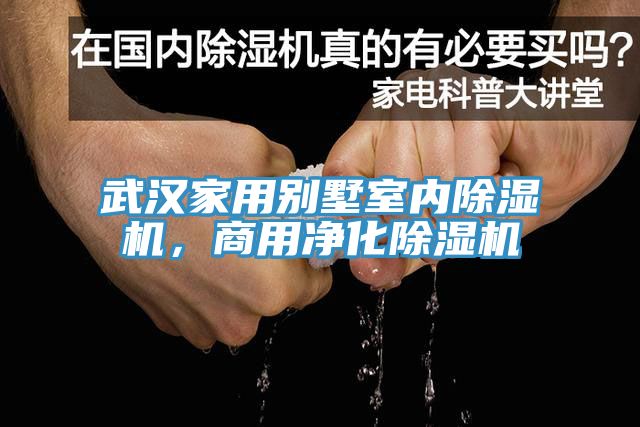 武漢家用別墅室內(nèi)除濕機(jī)，商用凈化除濕機(jī)