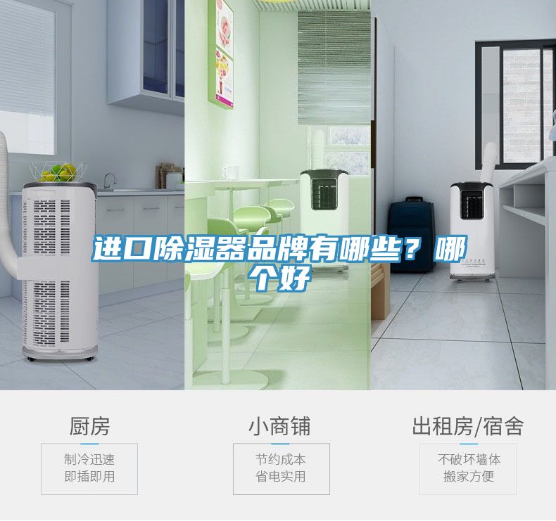 進(jìn)口除濕器品牌有哪些？哪個(gè)好