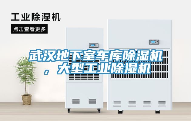 武漢地下室車庫(kù)除濕機(jī)，大型工業(yè)除濕機(jī)