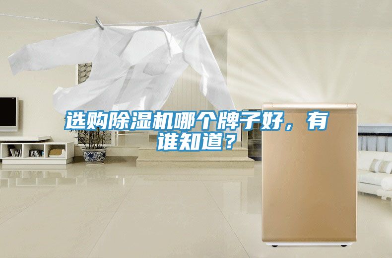 選購(gòu)除濕機(jī)哪個(gè)牌子好，有誰(shuí)知道？