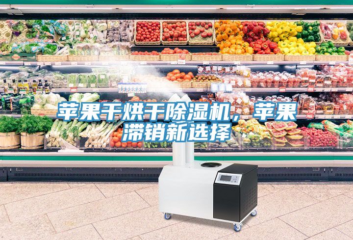 蘋果干烘干除濕機(jī)，蘋果滯銷新選擇