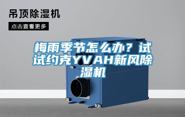 梅雨季節(jié)怎么辦？試試約克YVAH新風(fēng)除濕機