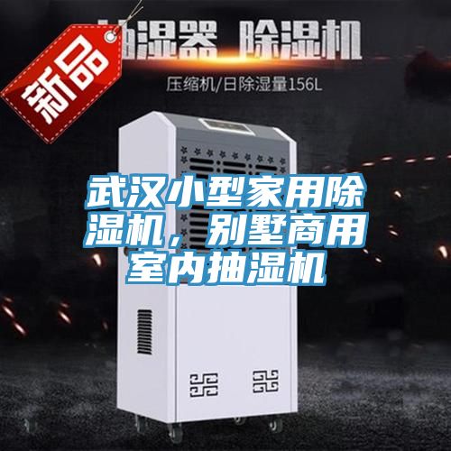武漢小型家用除濕機(jī)，別墅商用室內(nèi)抽濕機(jī)