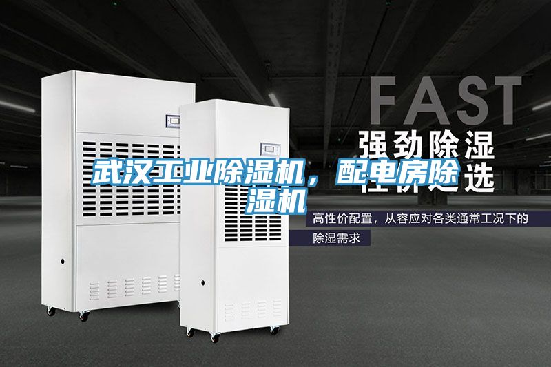 武漢工業(yè)除濕機(jī)，配電房除濕機(jī)