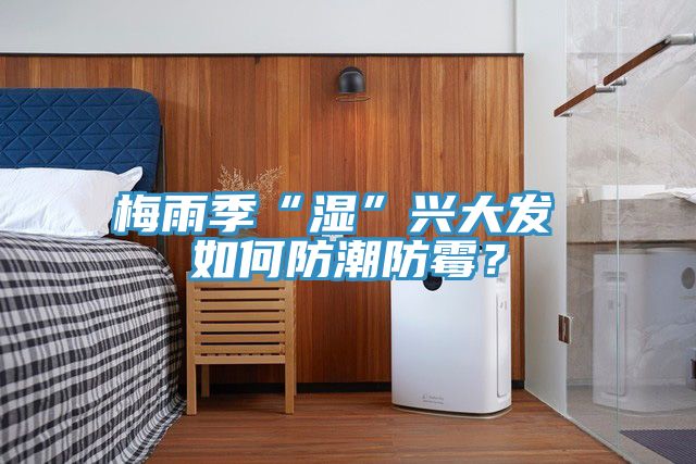 梅雨季“濕”興大發(fā) 如何防潮防霉？