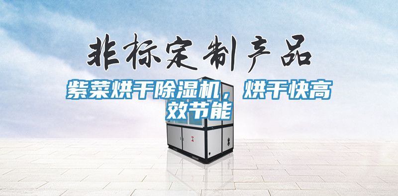 紫菜烘干除濕機(jī)，烘干快高效節(jié)能