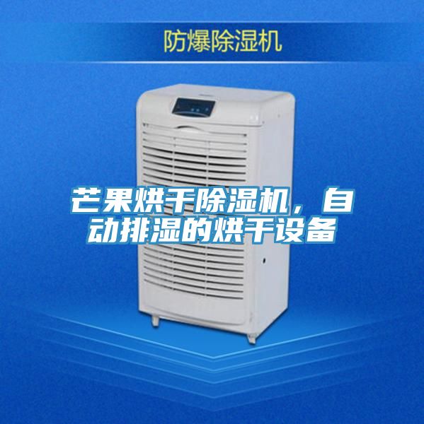 芒果烘干除濕機(jī)，自動排濕的烘干設(shè)備