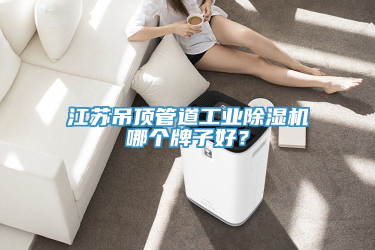 江蘇吊頂管道工業(yè)除濕機(jī)哪個(gè)牌子好？