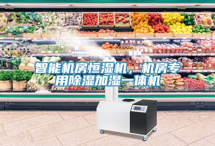 智能機(jī)房恒濕機(jī)，機(jī)房專用除濕加濕一體機(jī)