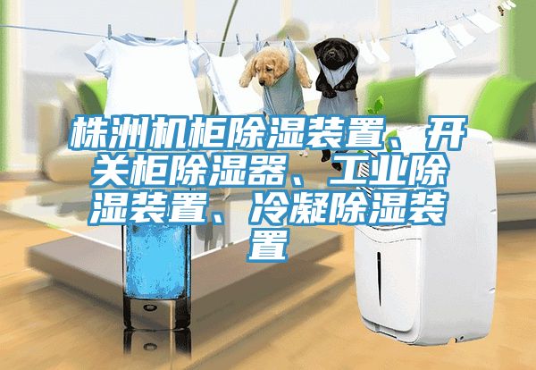 株洲機柜除濕裝置、開關(guān)柜除濕器、工業(yè)除濕裝置、冷凝除濕裝置