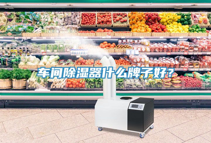 車間除濕器什么牌子好？
