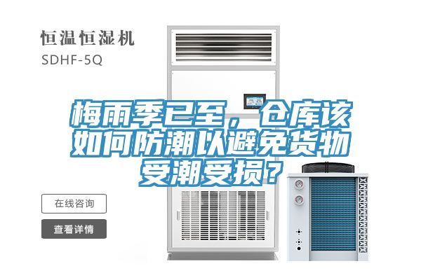 梅雨季已至，倉庫該如何防潮以避免貨物受潮受損？